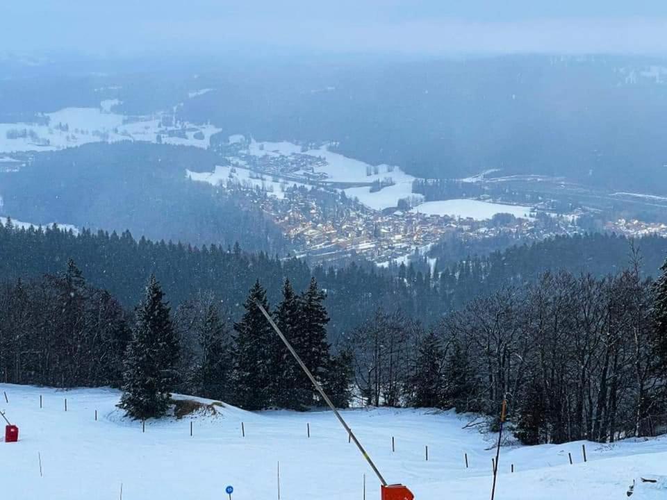 VIP Place Family Alti1000 Télésiège Métabief Avec jardin privé à 50 M des pistes Extérieur photo